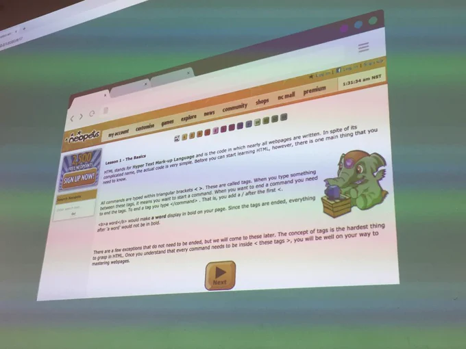Screenshot of the coding page from Neopets.