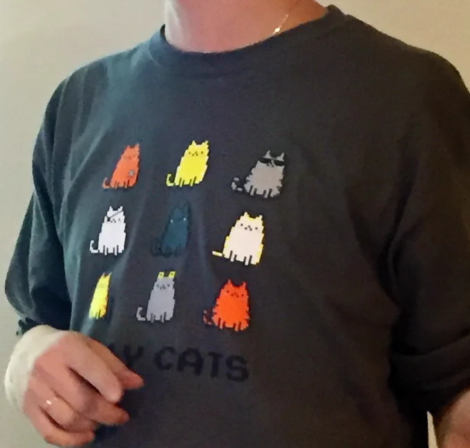 Sergei’s shirt that says “a11y cats” and has 9 different pixelated cats - some with eyepatches, hearing aids, wheelchairs or other assistive devices.
