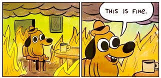 "This is fine" meme