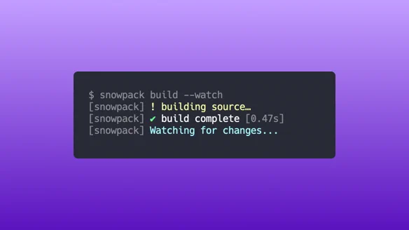 snowpack build --watch screenshot