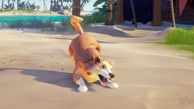 A good boy looking particularly good.