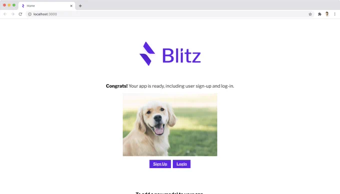 Screenshot of a fresh Blitz application running on localhost with an enabled feature flag showing a dog