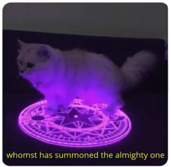 Cat in summoning circle: "whoomst has summoned the almighty one"