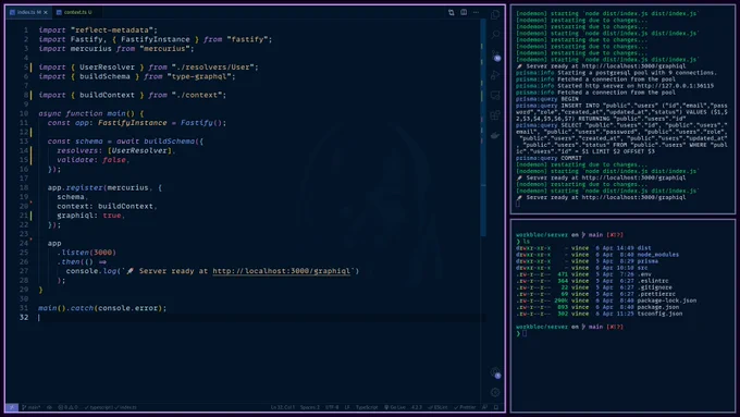 Screenshot of my screen, VSCode and my terminal, both with Night Owl theme.