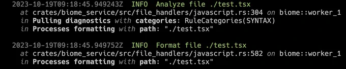An example of Biome logs using the INFO level when formatting a file.