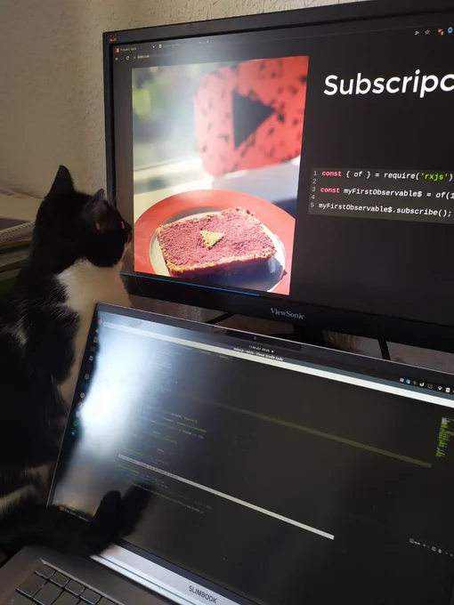 Mi gata (negra y blanca),subida a mi escritori mirando aténtamente la pantalla de la presentación.