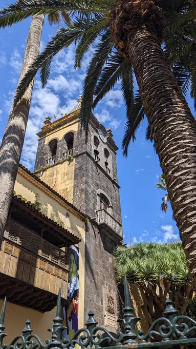 Clock tower behind a palm tree. 