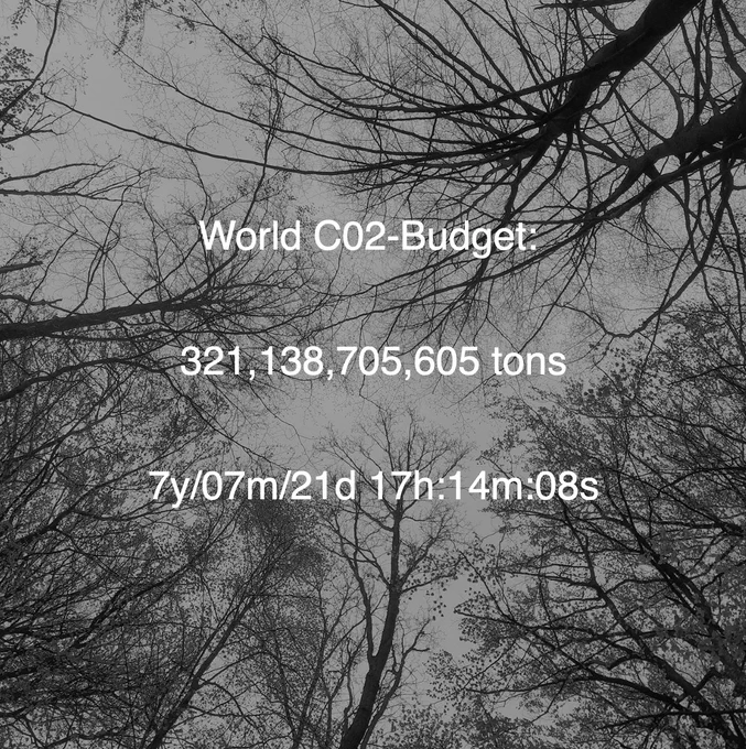 White text of ‘World CO2 budget’ shown on a tree image