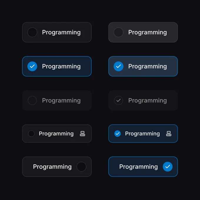 A UI kit display showing different states of a "Programming" choice chip. It includes unselected states with empty circular checkboxes, selected states with blue checkmarks and borders, variants with icons on the right, and different layout alignments (checkbox on left vs right).
