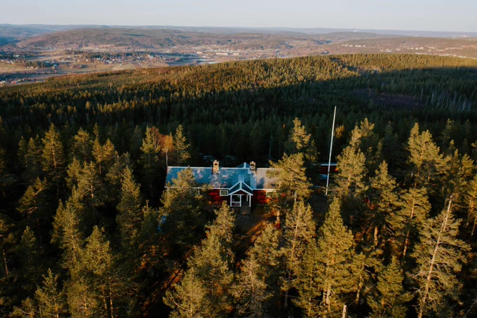 Swedish forest outside of Sundsvall. Photo: Peter van der Meulen