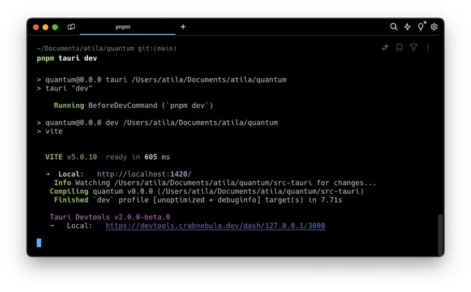 my terminal with the link to https://devtools.crabnebula.dev