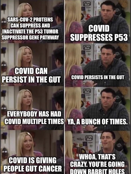 Joey meme
A:SARS-COV-2 PROTEINS CAN SUPPRESS AND
INACTIVATE THE P53 TUMOR SUPPRESSOR GENE PATHWAY
COVID CAN
PERSIST IN THE GUT
EVERYBODY HAS HAD COVID MULTIPLE TIMES
COVID IS GIVING PEOPLE GUT CANCER
main Asn
COVID
SUPPRESSES P53
COVID PERSISTS IN THE GUT
YA, A BUNCH OF TIMES.
WHOA, THAT'S CRAZY. YOU'RE GOING DOWN RARRIT HOLES